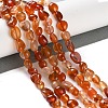 Natural Carnelian Beads Strands X-G-P497-01C-35-2