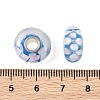 Lampwork & Brass Core European Beads LAMP-P019-01P-03-3