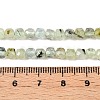Natural Prehnite Beads Strands G-N342-124-5
