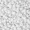 6/0 Glass Seed Beads SEED-US0003-4mm-121-2