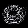 Transparent Glass Beads Strands GLAA-N001-59-2