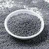 MIYUKI Round Rocailles Beads SEED-G009-RR0499-2