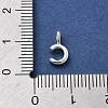 925 Sterling Silver with Cubic Zirconia Charms STER-Q004-01C-S-3