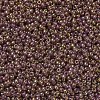 MIYUKI Round Rocailles Beads X-SEED-G007-RR0301-3