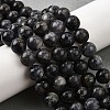 Natural Iolite Beads Strands G-E561-16-10mm-5