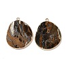 Natural Tiger Eye Pendants G-E526-09H-5