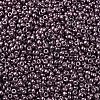 MIYUKI Round Rocailles Beads X-SEED-G007-RR1088-3