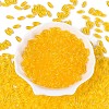 Transparent Colours Glass Seed Beads SEED-T007-16J-1