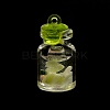 Luminous Plastic Pendants KY-WH0048-14D-3