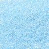 MIYUKI Delica Beads SEED-JP0008-DB0239-4