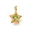 304 Stainless Steel Charms STAS-R159-58G-02-1