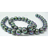 Polished Shell Pearl Round Beads Strands X-SP12MM515-1