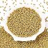 FGB 8/0 Grade A Round Glass Seed Beads X-SEED-N002-C-0561-2