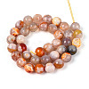 Dyed & Heated Natural Fire Crackle Agate Beads Strands G-N359-01B-10-3