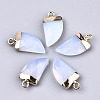 Opalite Pendants G-N326-57J-1
