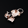 Alloy Brooch PW-WG63571-01-3