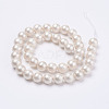 Wrinkle Textured Shell Pearl Beads Strands X-BSHE-E016-10mm-07-2