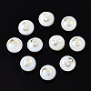 Natural Freshwater Shell Beads SHEL-N003-20-03-1