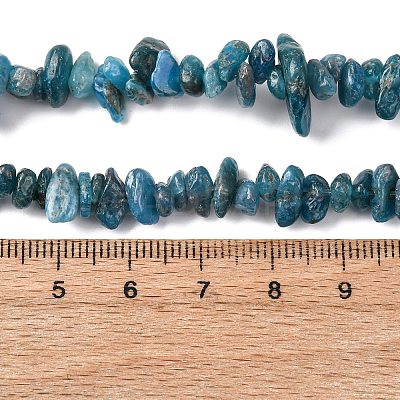 Natural Apatite Beads Strands G-F666-01B-02-01-1