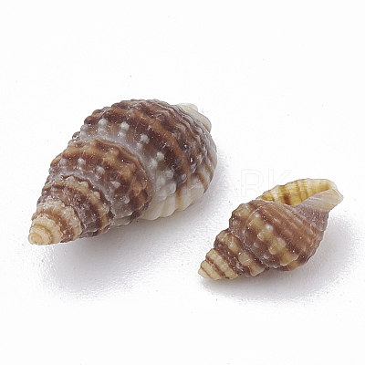 Sea Shell Beads LS-X-SSHEL-S258-03-1