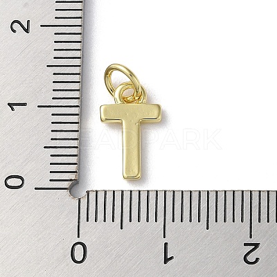 Rack Plating Brass Charms KK-P245-06G-T-1