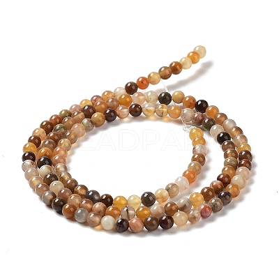 Natural Petrified Wood Round Bead Strands G-P070-69-3mm-1