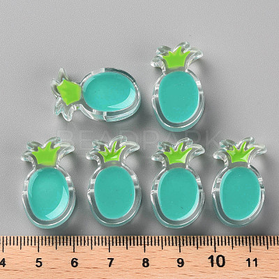Transparent Enamel Acrylic Beads TACR-S155-002G-1