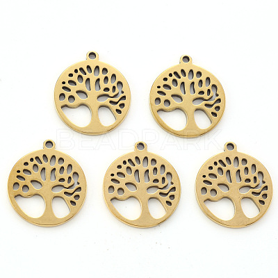 304 Stainless Steel Pendants STAS-N092-09G-1