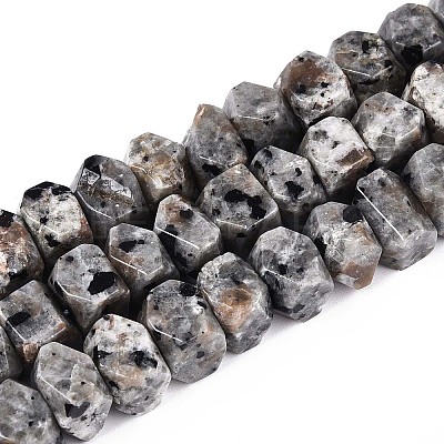 Natural Syenite Beads Strands G-D091-A32-1