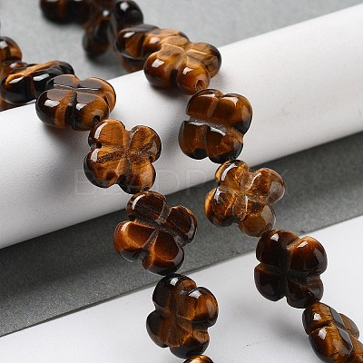 Natural Tiger Eye Beads Strands G-P520-A09-01-1
