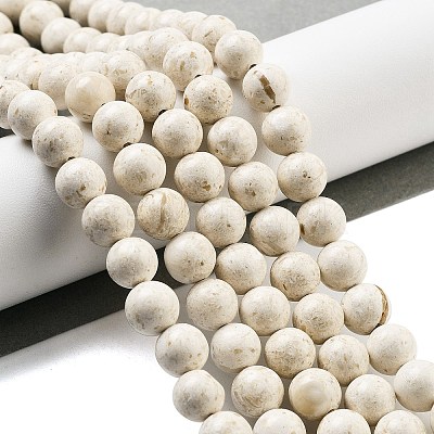 Natural Fossil Beads Strands G-H026-02A-1