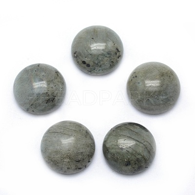 Natural Gemstone Cabochons X-G-P393-R47-6MM-1