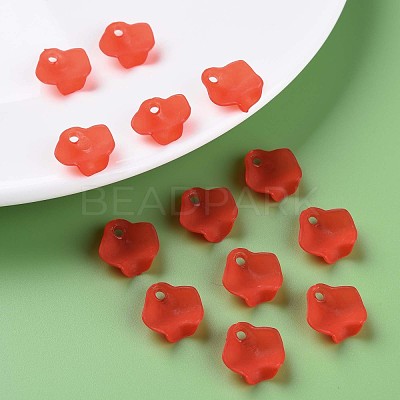 Transparent Acrylic Beads MACR-S373-106-D01-1