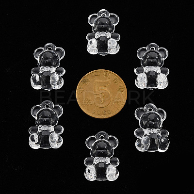 Transparent Acrylic Pendants TACR-S151-01B-205-1