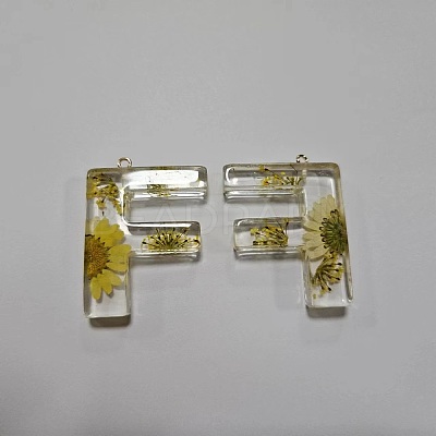 Transparent Epoxy Resin Pendants CRES-YW0002-12F-1