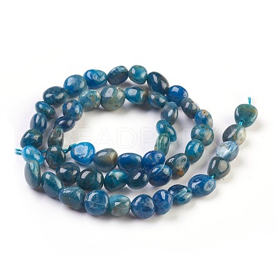 Natural Apatite Beads Strands G-F575-07-1