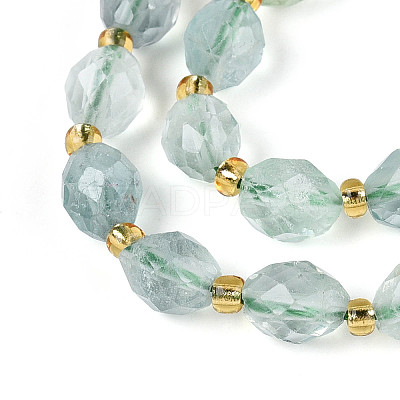 Natural Green Fluorite Beads Strands G-N342-53-8x6-12-1