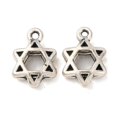 Tibetan Style Alloy Charms FIND-Z099-07AS-01-1