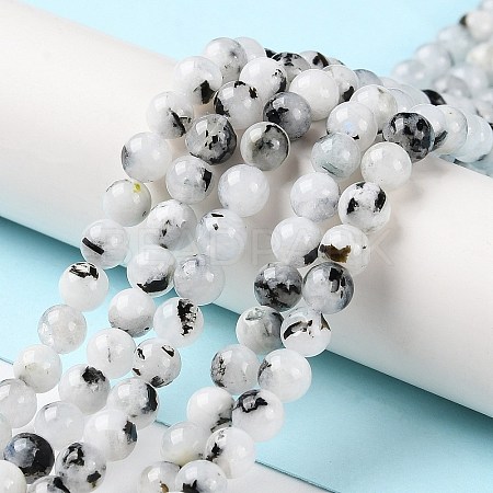 Natural Rainbow Moonstone Beads Strands G-Q1001-A05-01-1