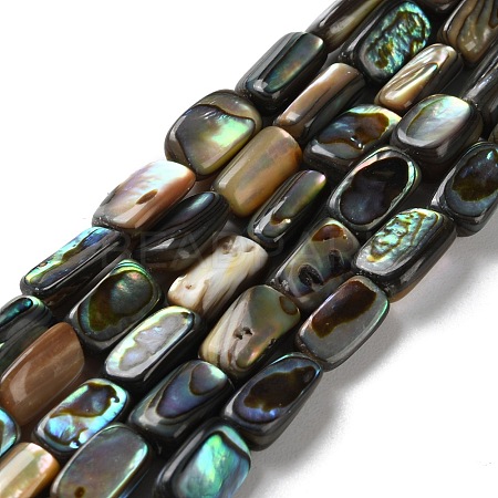 Natural Paua Shell Beads Strands SSHEL-B002-14-1