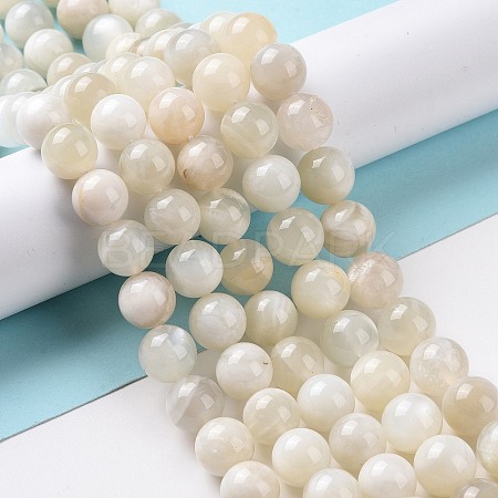 Natural White Moonstone Beads Strands G-F674-08-10mm-01-1