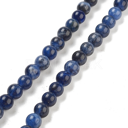 Sodalite Round Bead Strands G-P070-46-6mm-1