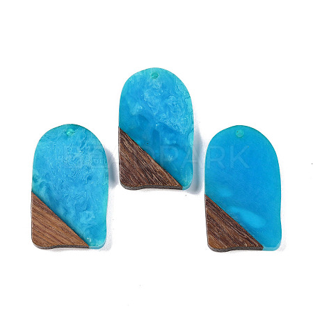 Resin & Wood Pendants WOOD-F015-13F-1