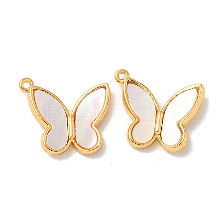 Brass Pave Shell Butterfly Charms KK-K378-30G-1