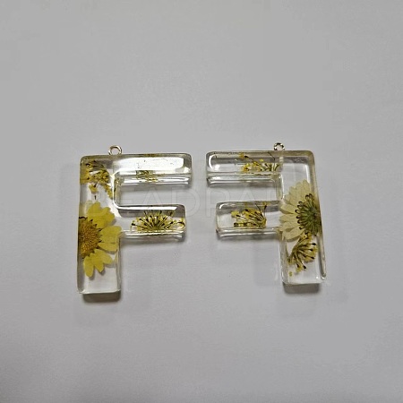 Transparent Epoxy Resin Pendants CRES-YW0002-12F-1