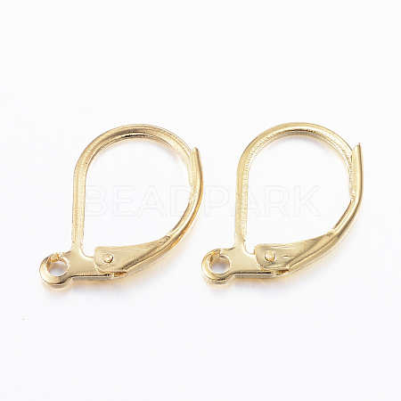 304 Stainless Steel Leverback Earring Findings STAS-L190-14G-1