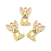 Zinc Alloy Enamel Pendants FIND-Z080-01G-06-1