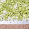 MIYUKI Delica Beads X-SEED-J020-DB0147-4