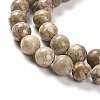 Natural Maifanite/Maifan Stone Beads Strands G-I187-6mm-01-9