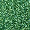 TOHO 8/0 Round Beads X-SEED-TR08-0307-2